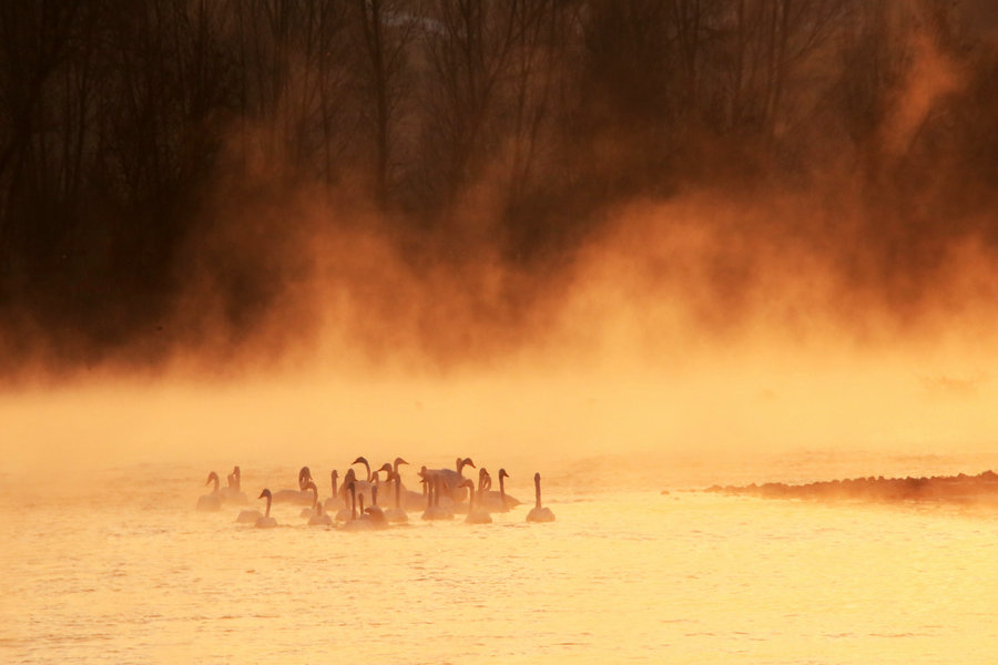 Beautiful moments of 2015 in China's great outdoors