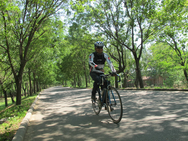 Bicycle's seasonal cycles