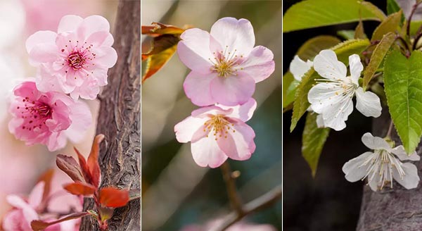 Spring break: Encourage kids to get closer to nature