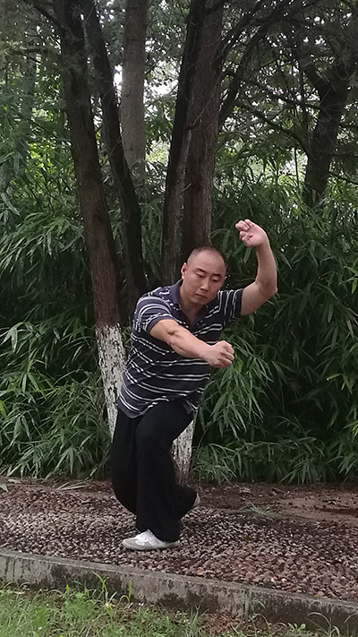 Kung fu for the future