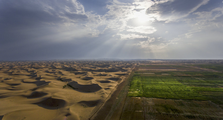 How plants survive in the Ulanbuh sand