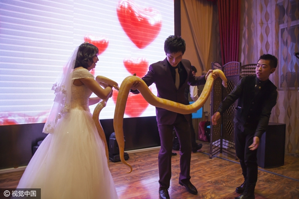 Newlyweds give each other pythons as wedding gifts