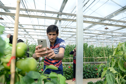 Foreign students studying in Jilin province visit Northeast Agricultural Base