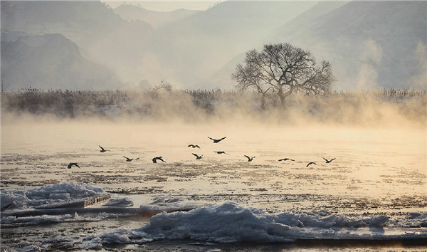 Northeast China Plain in late winter