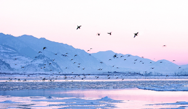 Northeast China Plain in late winter