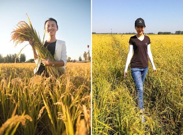 Jilin graduates return to build careers in rural areas