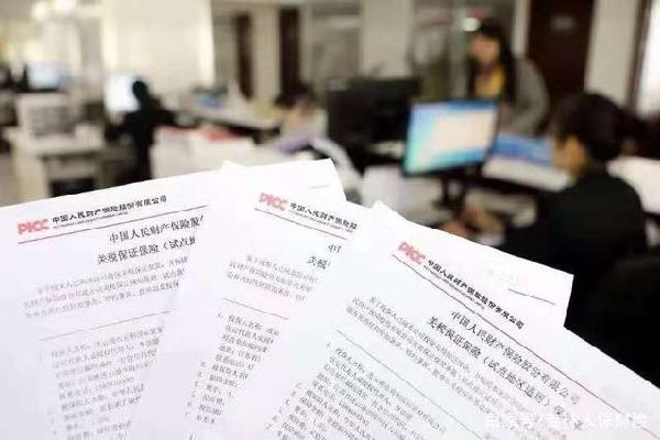 Jilin issues first customs surety bond