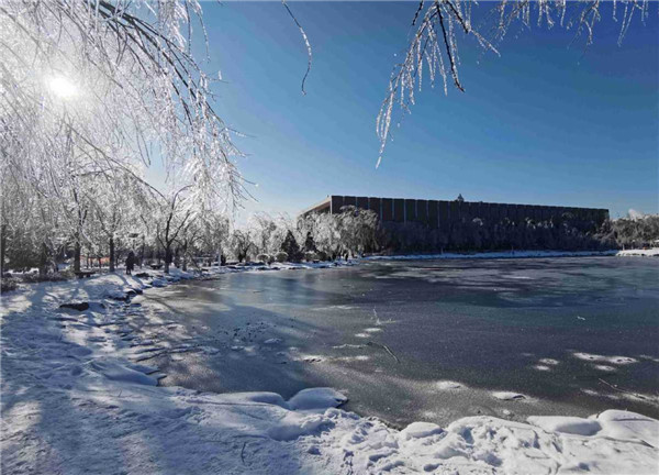 First snow in NE China university campus into winter wonderland