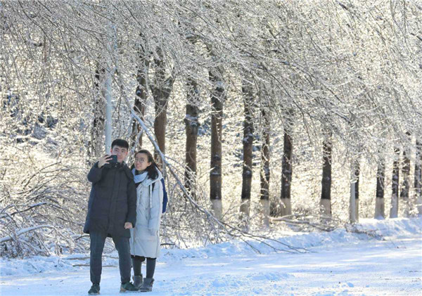 First snow in NE China university campus into winter wonderland