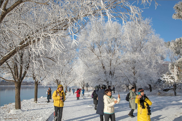 Magical rime transforms Jilin city into a fairyland