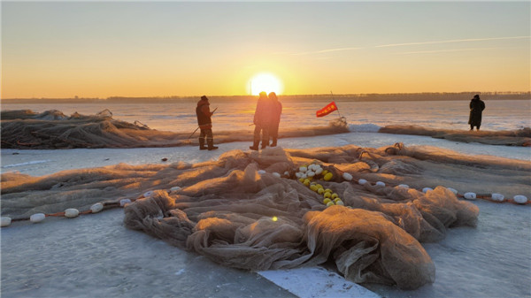 Massive fish haul unfolds on frozen lake in Jilin