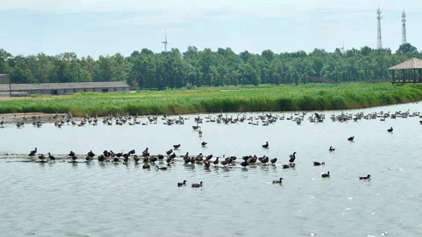 Glorious Chagan Lake takes on new look