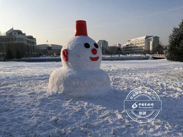 Campus snow sculptures spread Northeast China culture