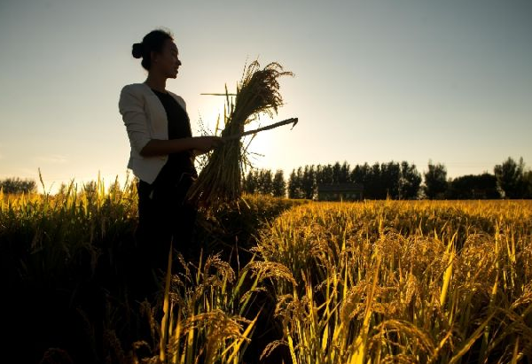 Jilin graduates return to build careers in rural areas