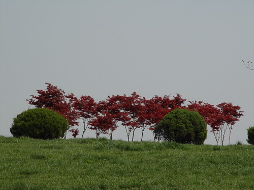 Fuyang Ecological Park