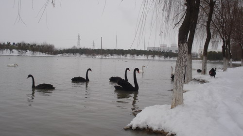 Digou Ecological Park