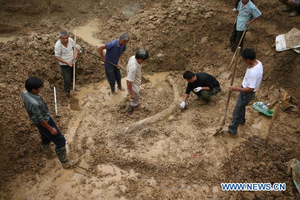 Fossil of ancient elephant's tusk unearthed in Bozhou