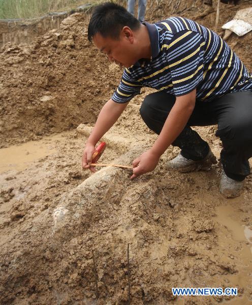 Fossil of ancient elephant's tusk unearthed in Bozhou