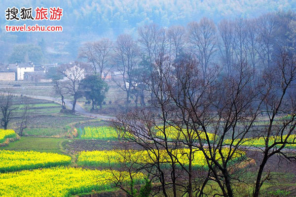 Returning to nature at Tachuan, Anhui