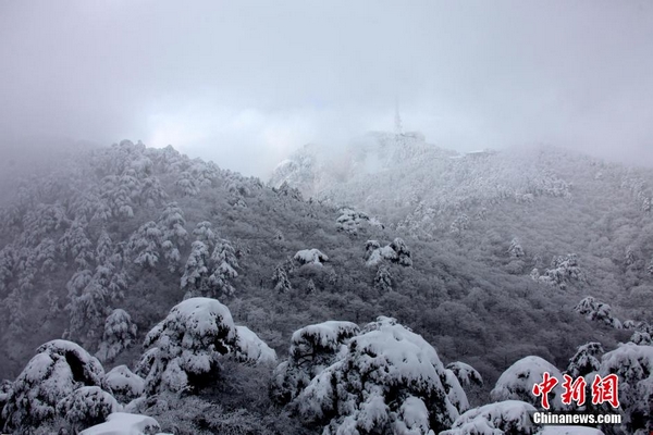 Rime scenery in Huangshan Mountain