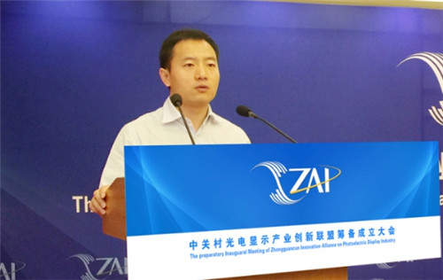 Zhongguancun to establish photoelectric display industry alliance