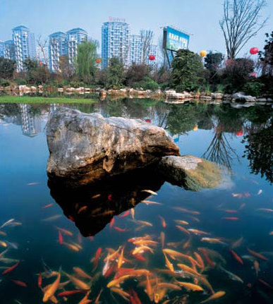Chengdu Special: Advanced district takes lead in Sichuan capital