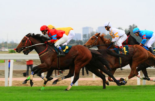 Wenjiang Equestrianism Sports Center