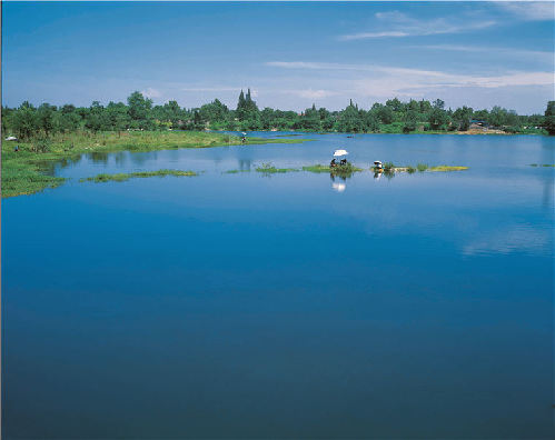 Lujiatan Wetland