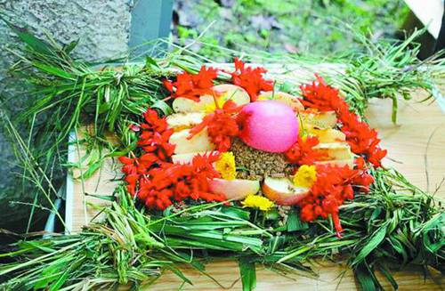 Animals have mooncakes for Mid-Autumn Festival