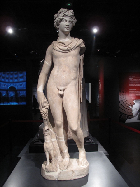 Splendor of ancient Rome goes on display in Sichuan museum