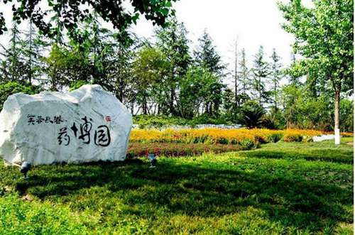 Wenjiang TCM Botanical Garden