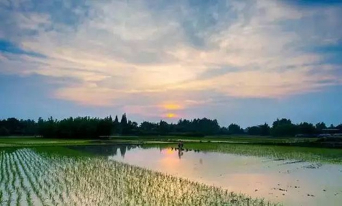 Discover 'cool' places in Wenjiang (I)