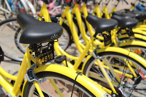 Ofo to provide bike-sharing services in Wenjiang