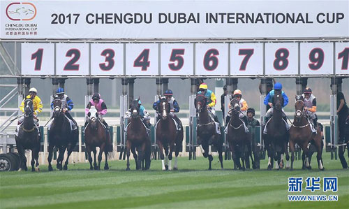 Chinese jockeys shine at Chengdu Dubai International Cup