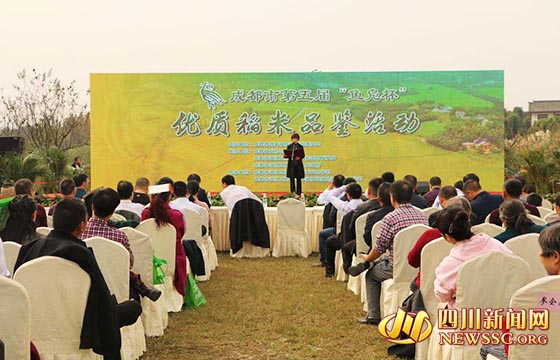 Wenjiang holds quality rice tasting activity