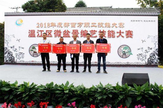 Wenjiang holds micro-bonsai competition