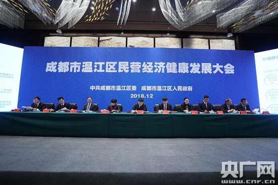 Private sector development conference held in Wenjiang