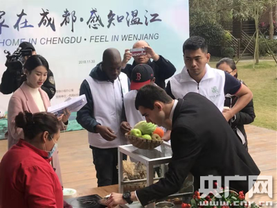 Foreign students charmed by Wenjiang