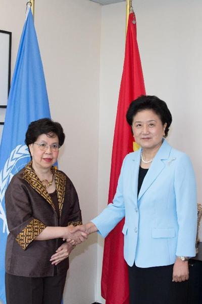 Vice-premier meets with WHO chief in Geneve