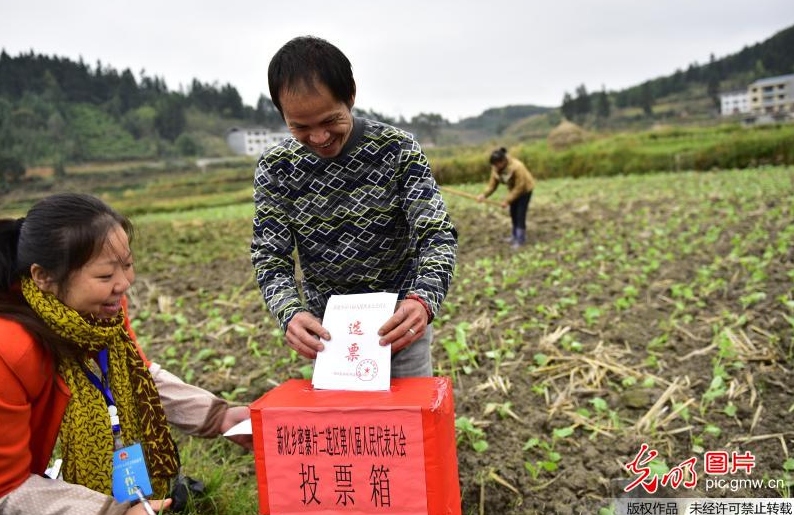 Villagers vote in their fields to select NPC deputies