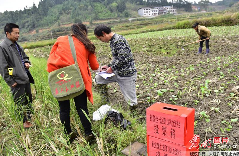 Villagers vote in their fields to select NPC deputies