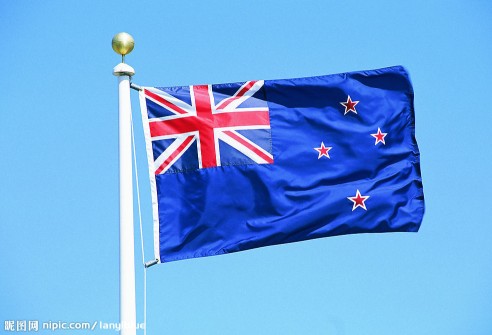 New Zealand government rules out patents on computer software programs