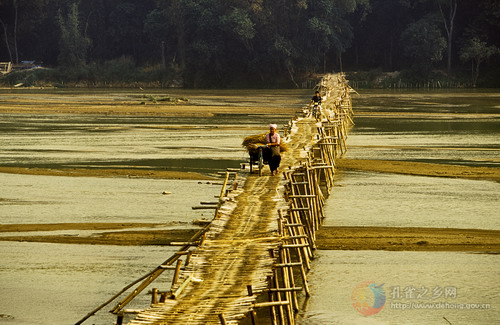 Photos by Yang Jiang