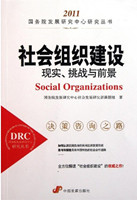 Social Organizations: Reality, Challenges and Prospects