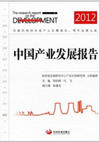The Research Report on the Development of Chinese Industry (2012)