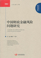 A Study on China's Fiscal and Financial Risks