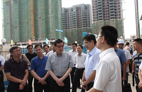 DRC head Li Wei conducts survey in Nanning