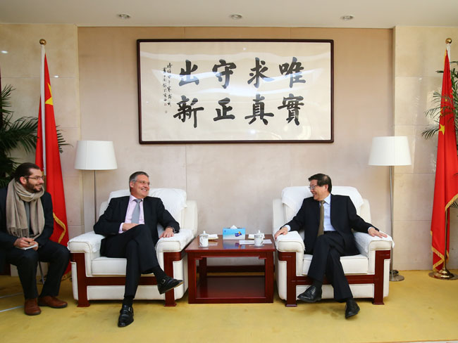 Li Wei meets with official from German Foreign Ministry