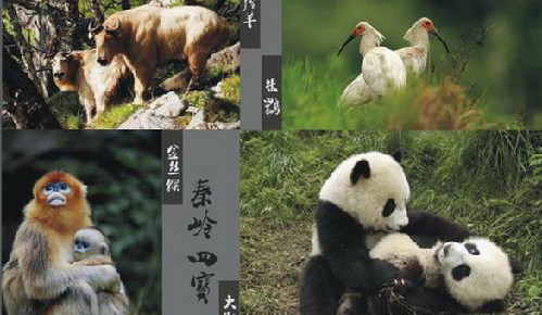 Rare animals arrive in Xi'an