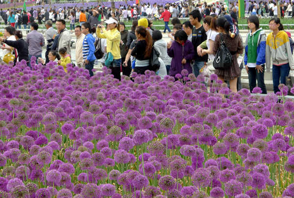 Horticultural Expo sees tourist flow peak